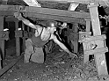 souvenirs en noir et blanc (462)
